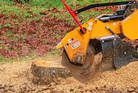 Best Tree Maintenance Programs  in Fort Sumner, NM