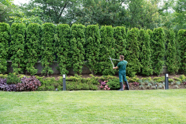 Best Lawn Pest Prevention  in Fort Sumner, NM